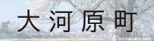 ͌