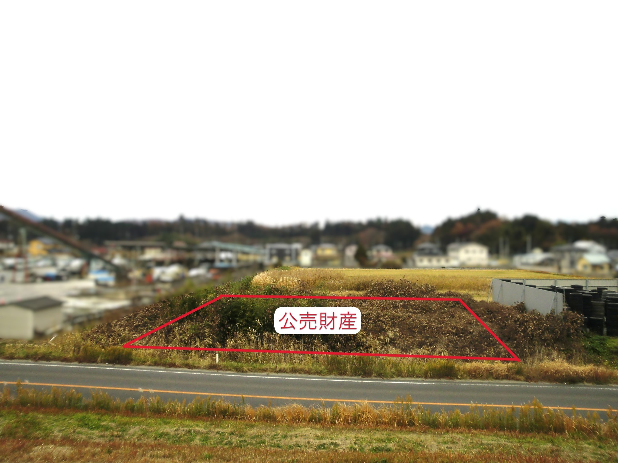 �G��n1�M(�{�錧�p�c�s�p�c����c�O�n��)�̎ʐ^