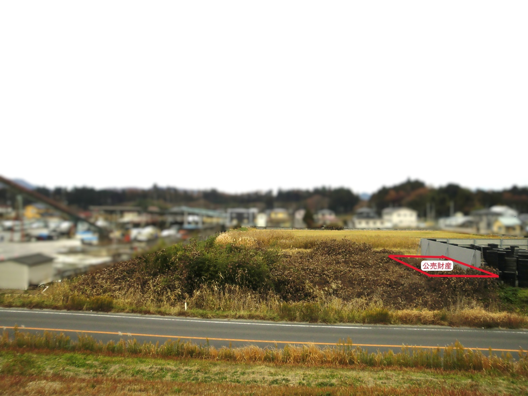 �G��n1�M(�{�錧�p�c�s�p�c����c�O�n��)�̎ʐ^