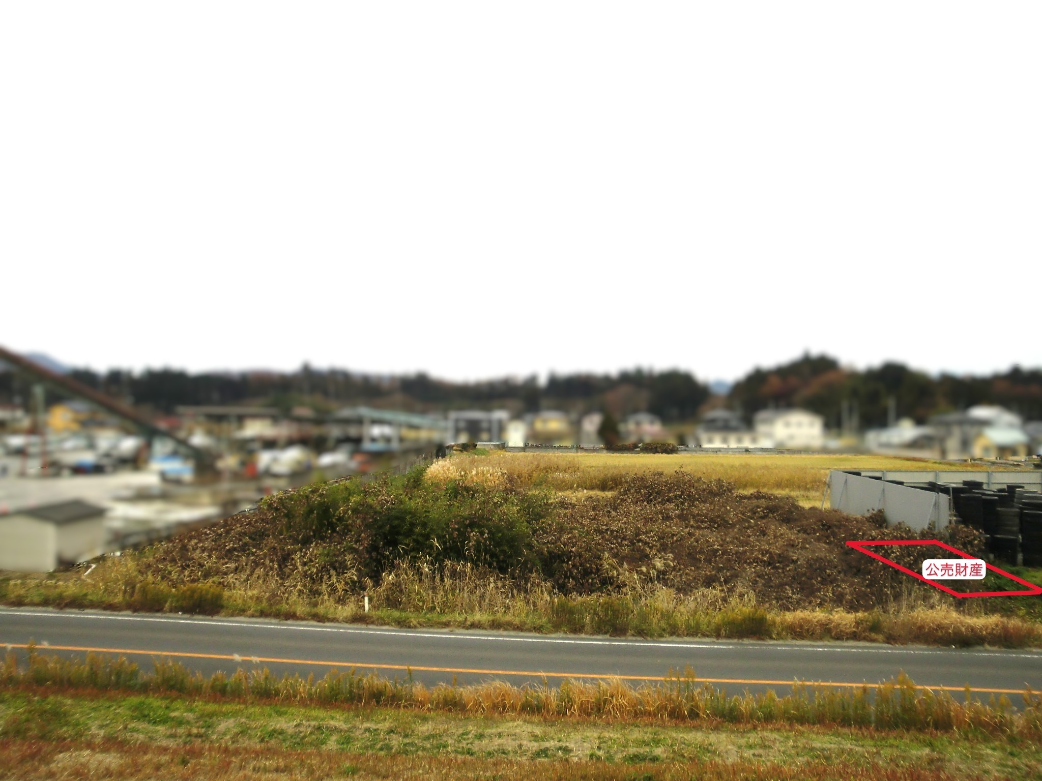 �G��n1�M(�{�錧�p�c�s�p�c����c�O�n��)�̎ʐ^